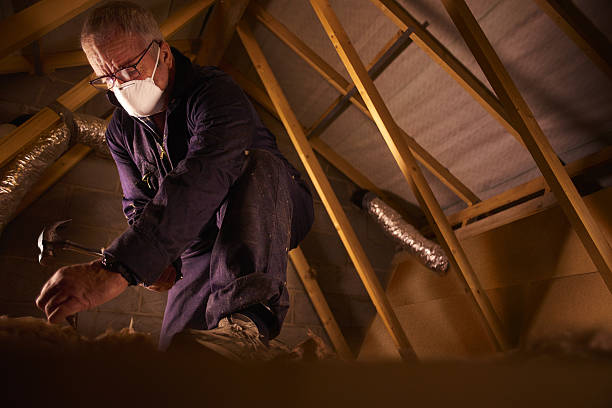 Best Eco-Friendly Insulation in Cabin John, MD